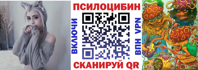 как найти наркотики  Адыгейск  Псилоцибиновые грибы GOLDEN TEACHER 